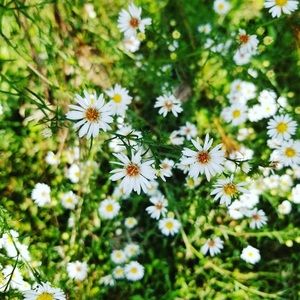 Meet your Posher, Katelyn